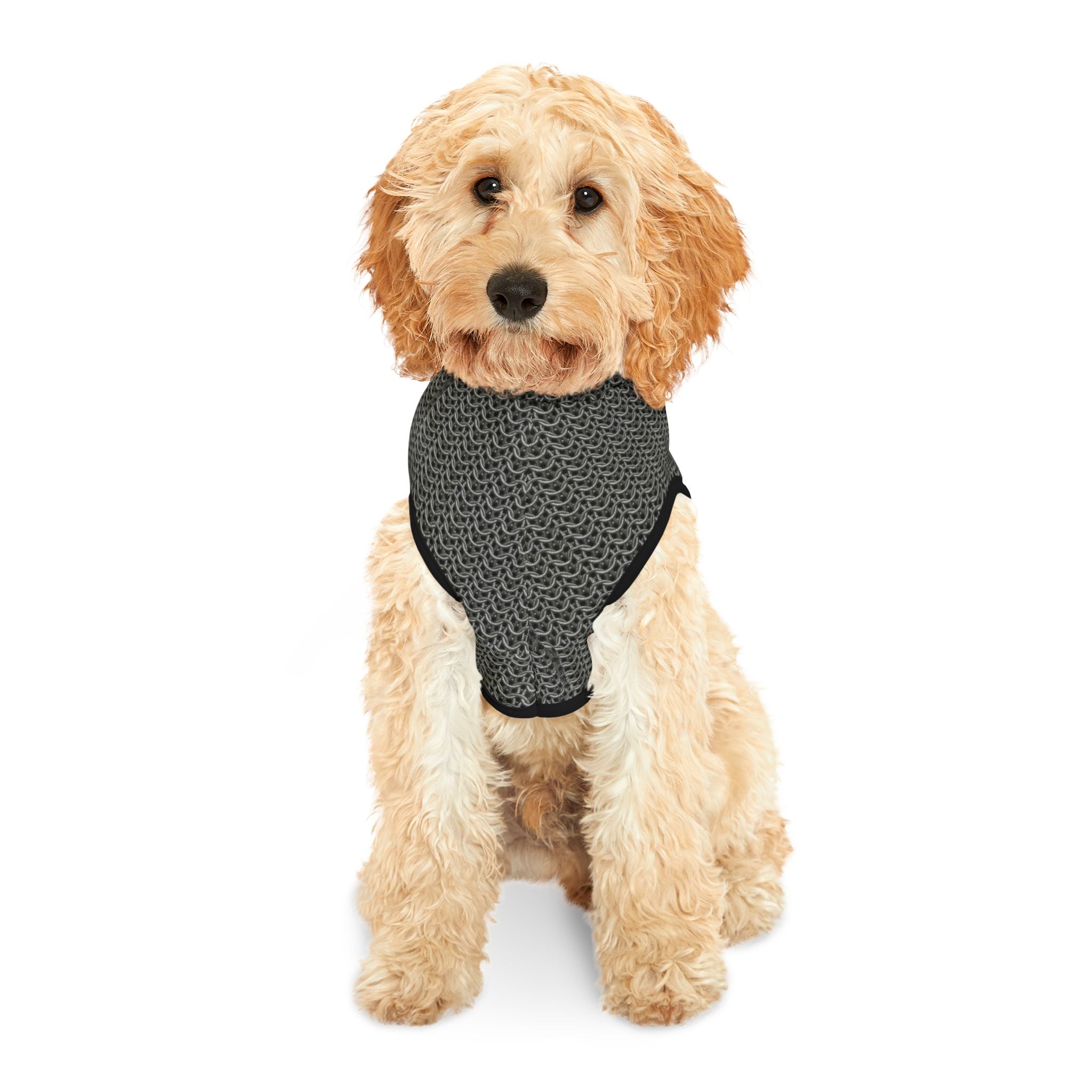 Chain Mail Pet Hoodie Vest: Medieval-Inspired Armor for Small Pets